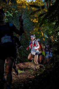 BIB: 
                            <button type="button" onclick="openModal(19233078)" class="btn btn-primary btn-sm float-right btn-popup" data-toggle="modal" data-target=".modal-high-quality">
                        <i class="fas fa-shopping-cart"></i> Add to Cart
                    </button>
                                            <button type="button" onclick="isThisMe(19233078, true)" class="btn btn-success btn-sm float-right btn-popup btn-isme hidden" data-toggle="tooltip" data-placement="bottom" title="นี่คือรูปของคุณใช่ไหม คลิกที่นี่เพื่อเอาเข้าอัลบั้ม">
                        <i class="fas fa-plus"></i> Add to album
                    </button>
                    <button type="button" onclick="isThisMe(19233078, false)" class="btn btn-warning btn-sm float-right btn-popup btn-isnotme hidden">
                        <i class="fas fa-ban"></i> Remove from album
                    </button>